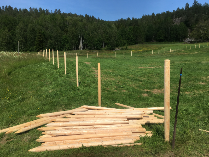 Kragerø Rotary leder "Farmen-gjerder"