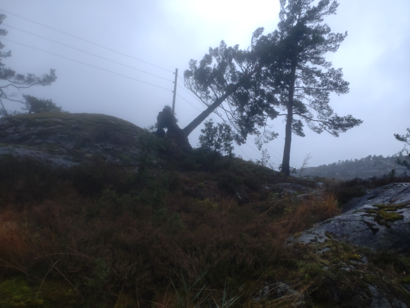 Klubbkveld 8.12.25. Etterlatte ved uforutsette dødsfall